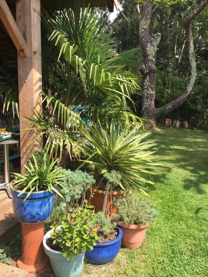 Maison De Bed & Breakfast